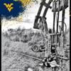 whitetailgeek